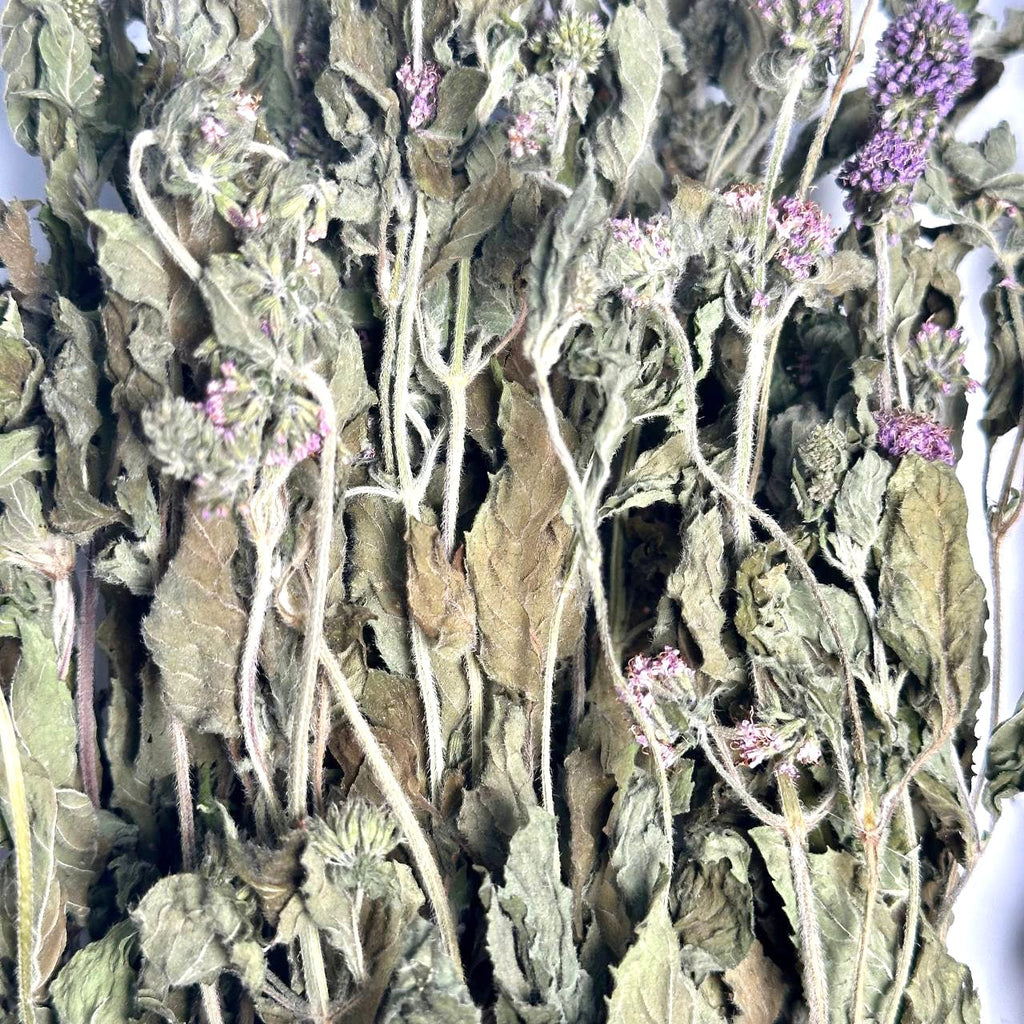 10 Pack Mint Herb for Banya & Sauna