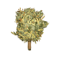 Close-up linden venik leaves soft sauna whisk texture
