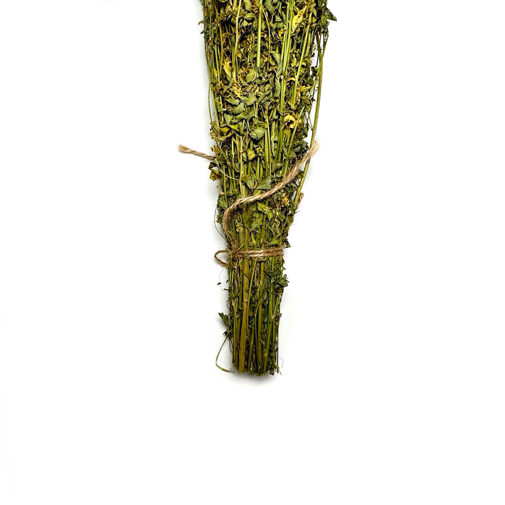 10 Pack Sweet Clover Herb for Banya & Sauna