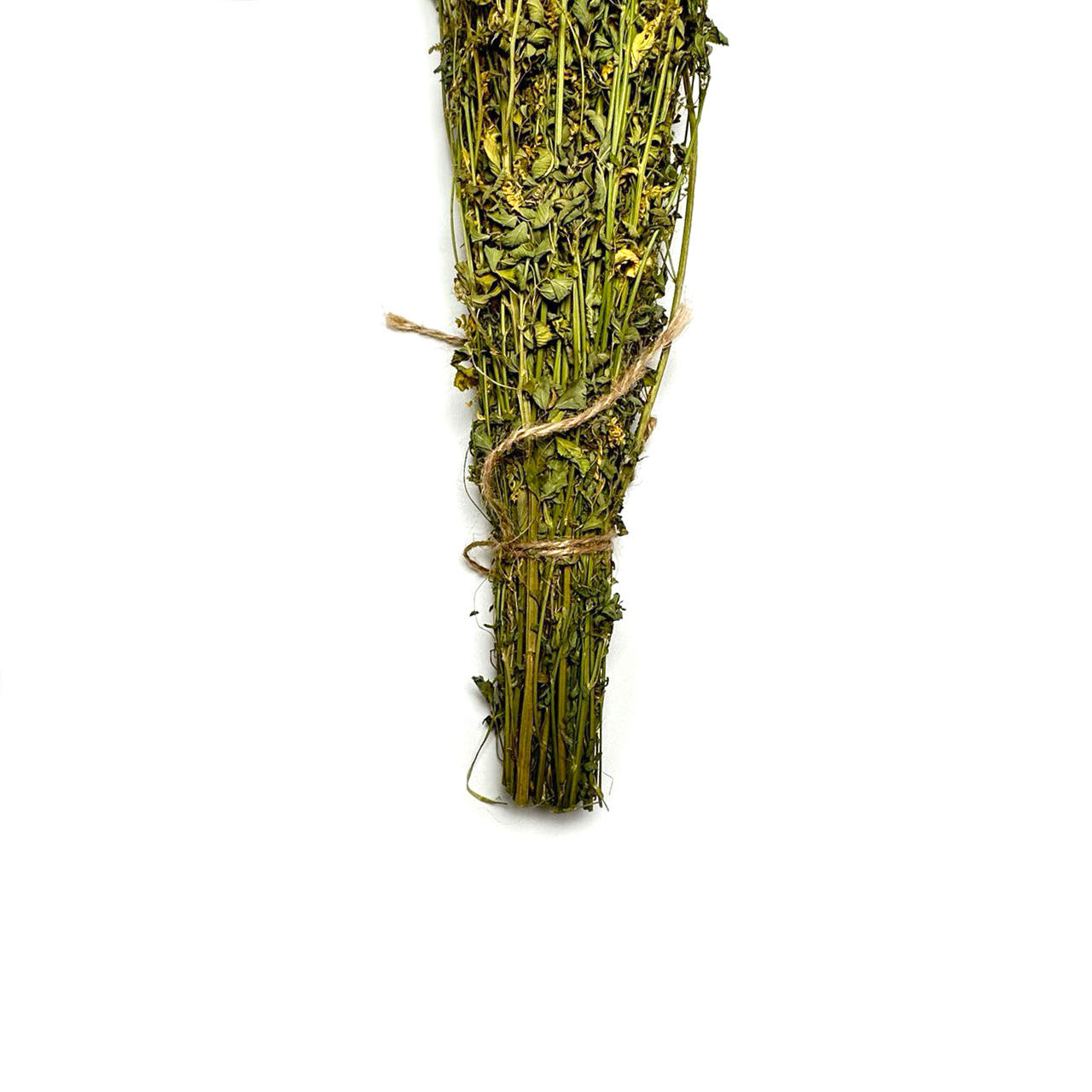 10 Pack Sweet Clover Herb for Banya & Sauna