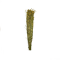 10 Pack Sweet Clover Herb for Banya & Sauna