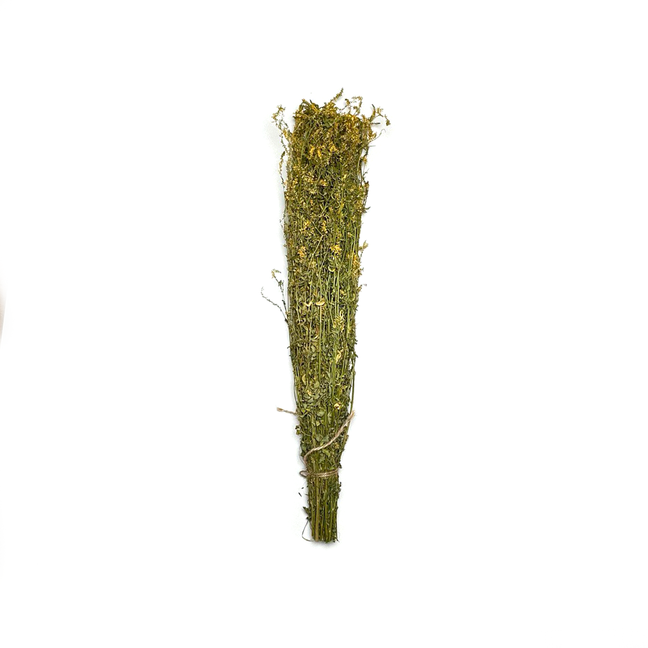 10 Pack Sweet Clover Herb for Banya & Sauna