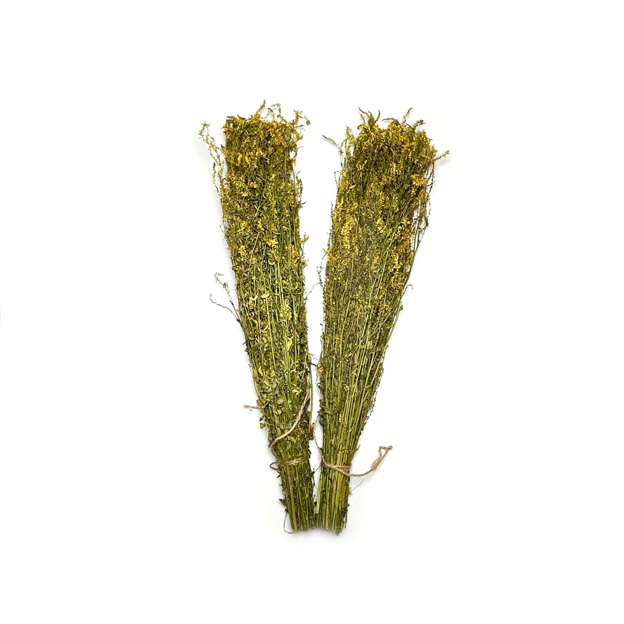 10 Pack Sweet Clover Herb for Banya & Sauna