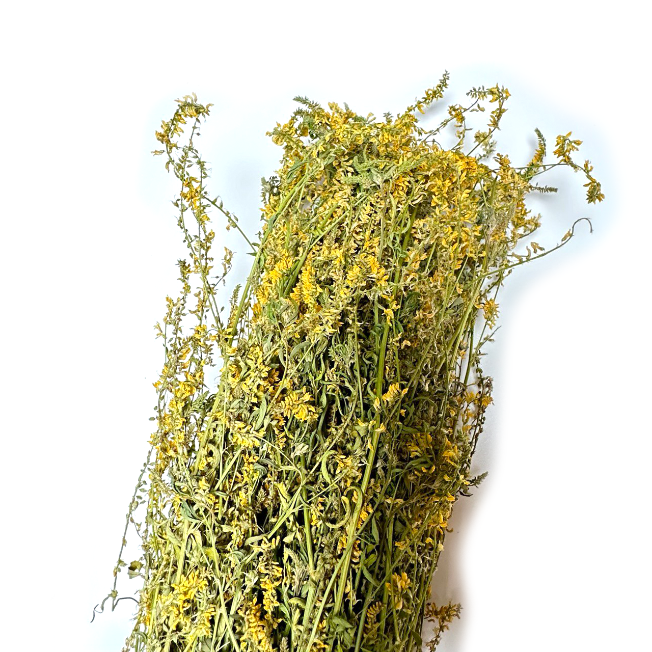 10 Pack Sweet Clover Herb for Banya & Sauna
