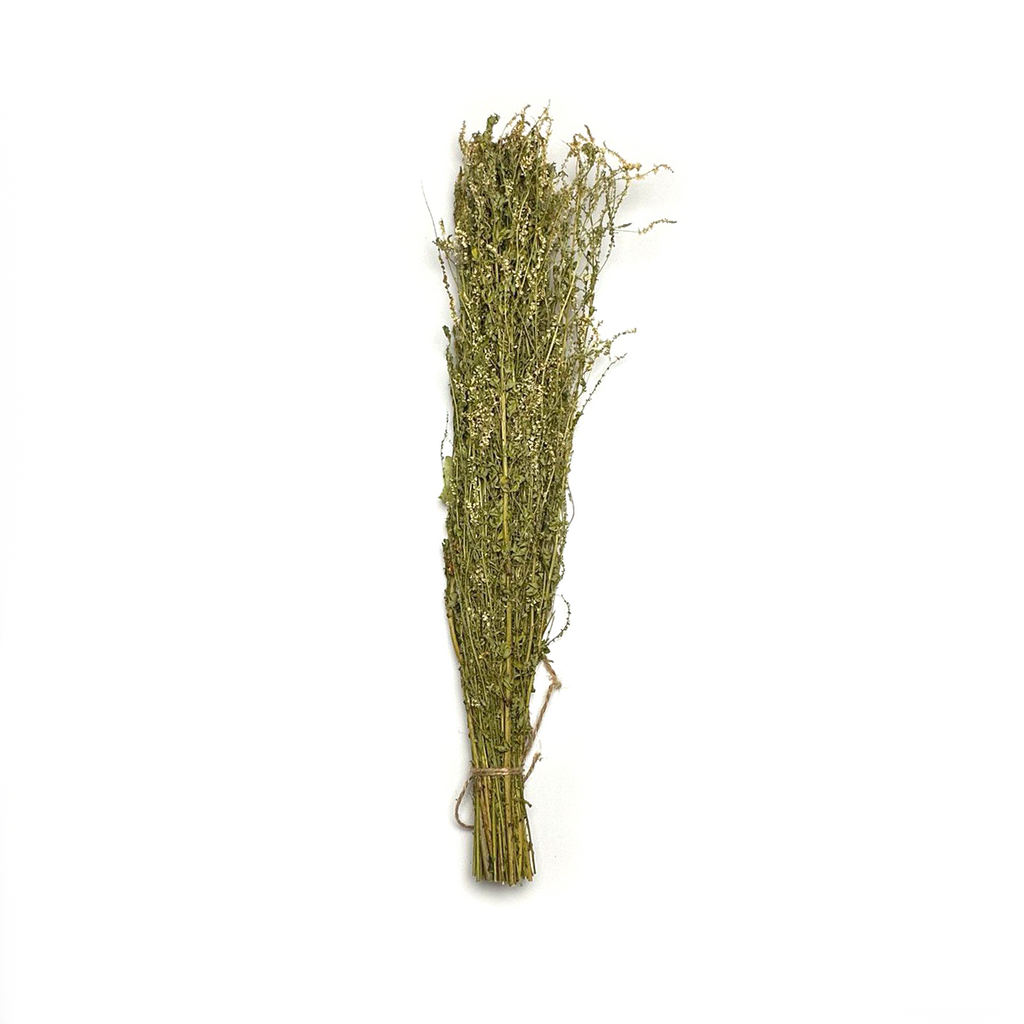 10 Pack Sweet Clover Herb for Banya & Sauna