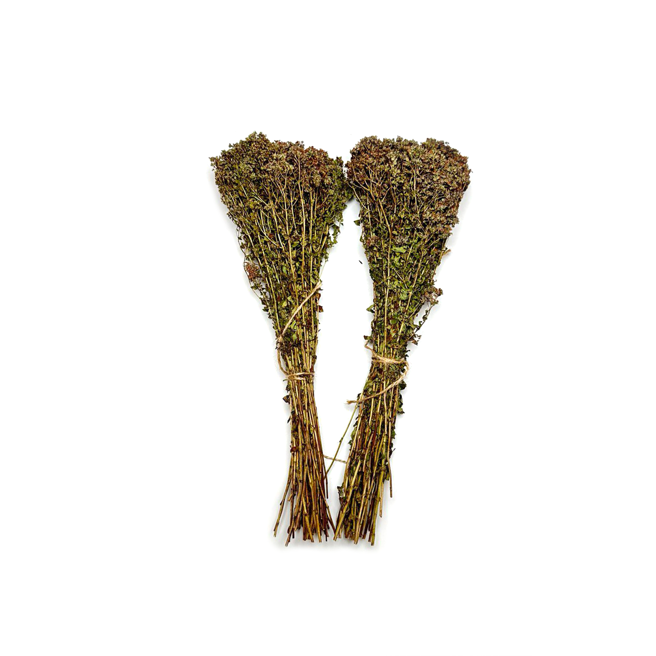 10 Pack Oregano Herb for Banya & Sauna